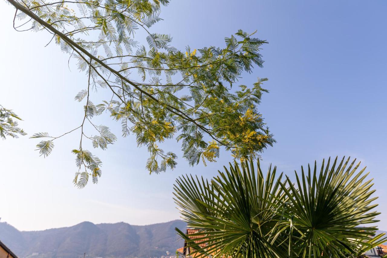 קומו La Casetta Di Erica מראה חיצוני תמונה
